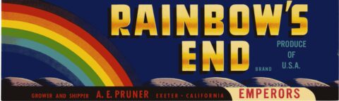 Rainbow s End